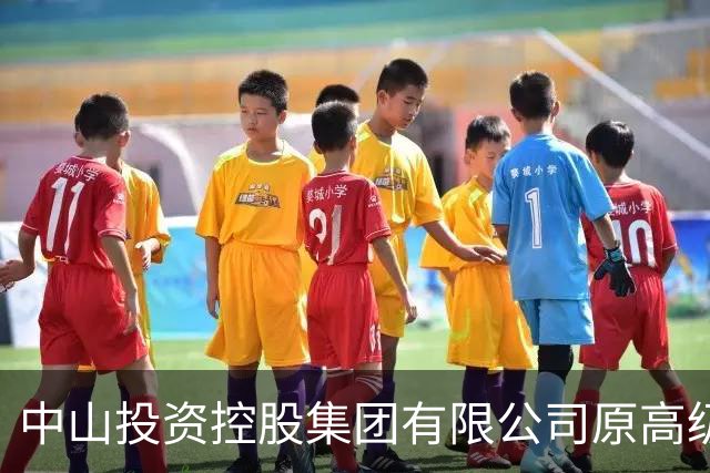 中山投资控股集团有限公司原高级顾问罗锐鸿严重违纪违法被“双开”