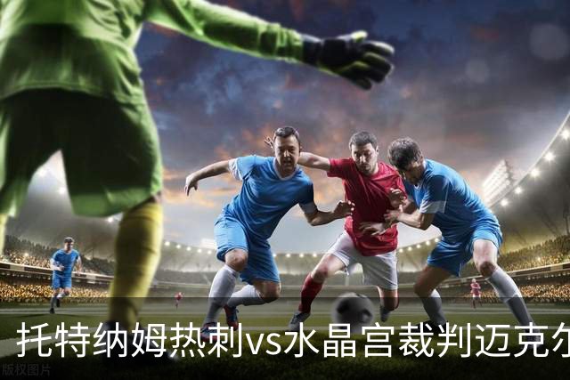 托特纳姆热刺vs水晶宫裁判迈克尔-奥利弗数据：近20场2红68黄2点