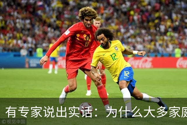 有专家说出实话：为什么大多家庭后悔买新能源汽车？原因很现实