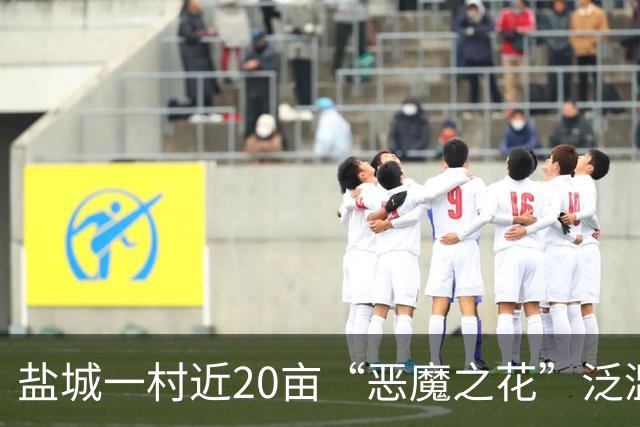 盐城一村近20亩“恶魔之花”泛滥成灾，这独特的风景为何无人管？