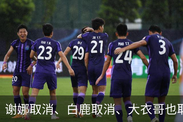 谢娜取消、白鹿取消、大衣哥也取消！只因他们踩了中国人3大雷区