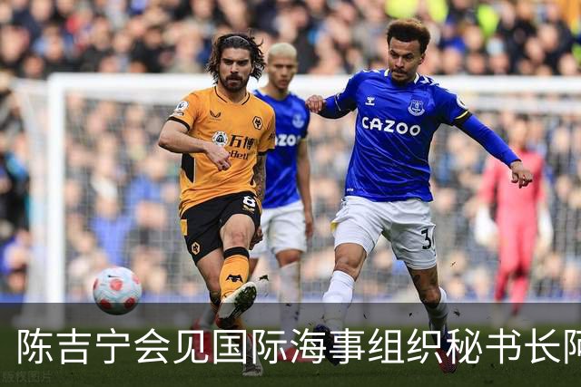 陈吉宁会见国际海事组织秘书长阿塞尼奥·多明戈斯